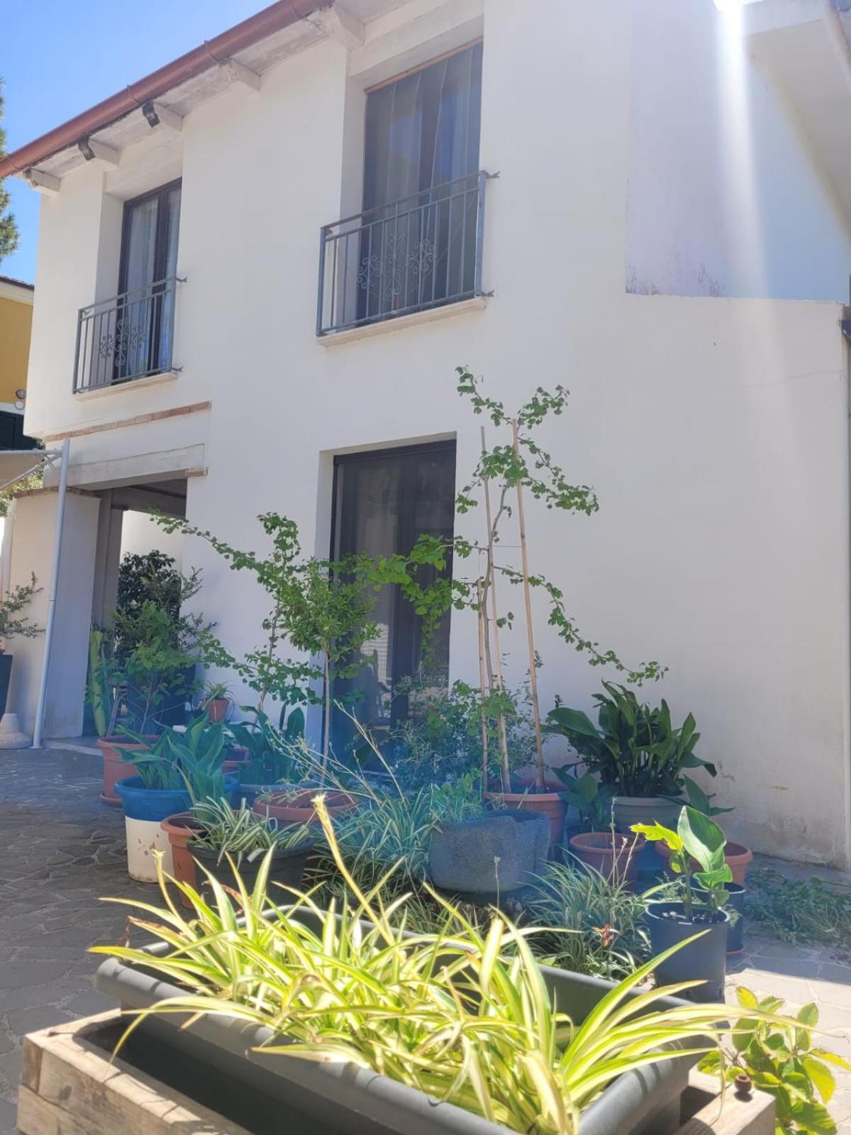 Villa La Conchiglia Rooms Cala Liberotto Dış mekan fotoğraf