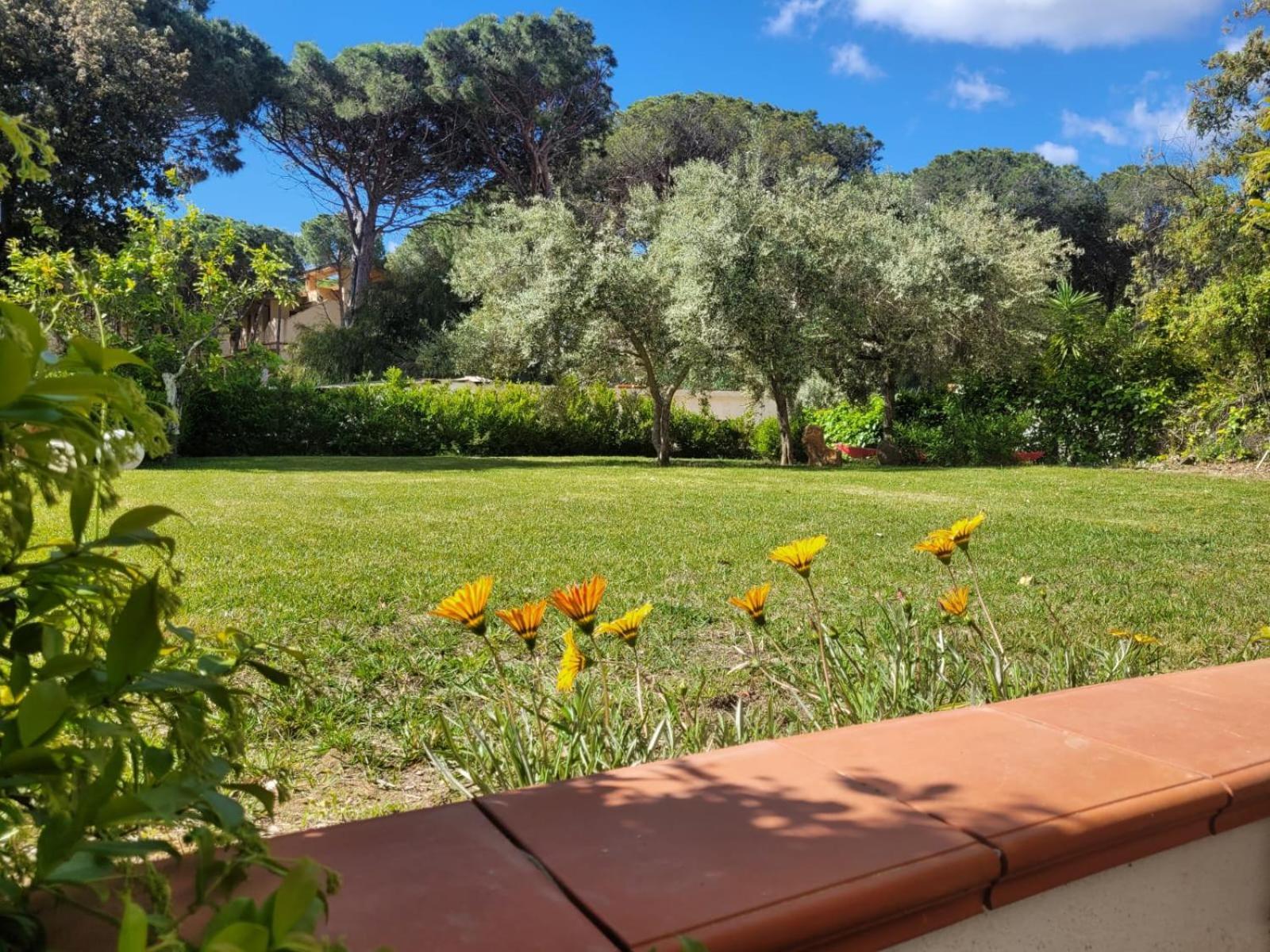 Villa La Conchiglia Rooms Cala Liberotto Dış mekan fotoğraf
